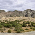 From Tbilisi: Vashlovani National Park Day Trip - Transport, Group Size, and Practicalities