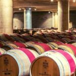 From the Vineyards to the Chalice: A Unique Tasting Experience - Who Will Love This Tour?