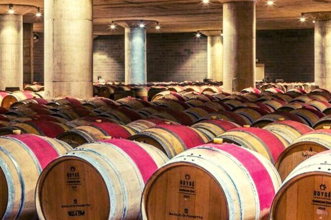 From the Vineyards to the Chalice: A Unique Tasting Experience - Who Will Love This Tour?