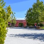 From Thessaloniki: Pella-Edessa-Naousa wine tasting - What Sets This Tour Apart