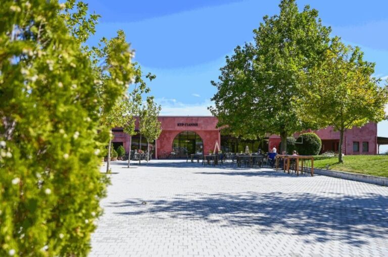 From Thessaloniki: Pella-Edessa-Naousa wine tasting - What Sets This Tour Apart