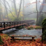 From Thessaloniki: Vergina, Agios Nikolaos, and Edessa - The Sum Up