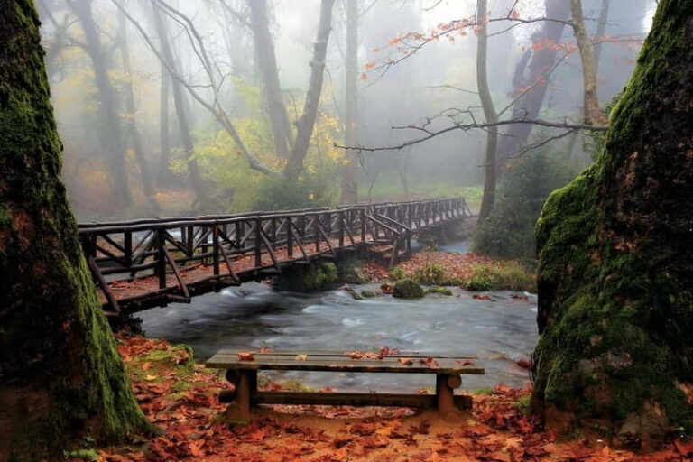 From Thessaloniki: Vergina, Agios Nikolaos, and Edessa - The Sum Up