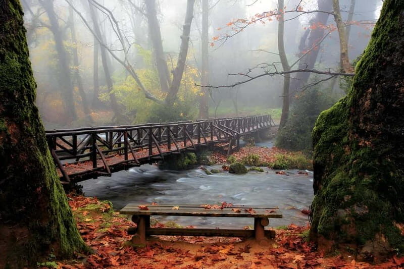 From Thessaloniki: Vergina, Agios Nikolaos, and Edessa - The Sum Up