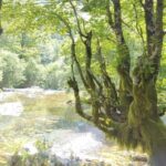 From Tirana: 2-Day Private Tour of Theth and Shkoder - Who Will Love This Tour?