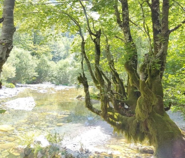 From Tirana: 2-Day Private Tour of Theth and Shkoder - Who Will Love This Tour?