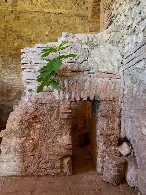 From Tirana: Berat City, Belshi Lake and Roman Baths Tour - Detailed Breakdown of the Itinerary