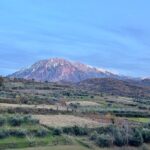 From Tirana: Berat UNESCO Site,Onufri Museum and Belshi Lake Tour - The Food and Wine Aspect