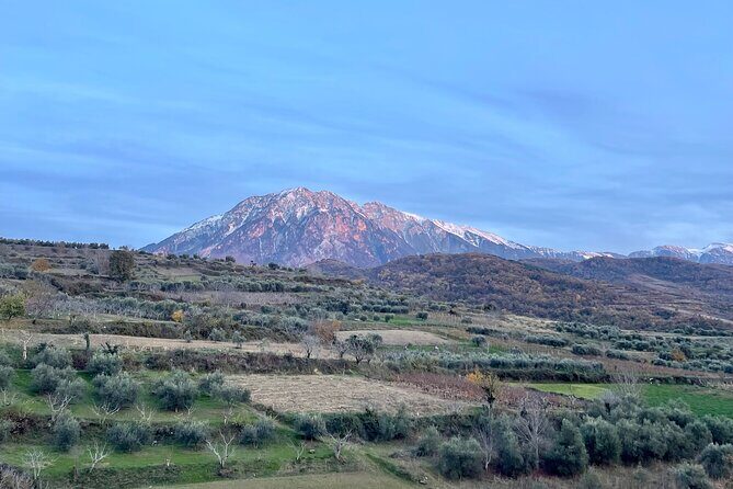 From Tirana: Berat UNESCO Site,Onufri Museum and Belshi Lake Tour - The Food and Wine Aspect