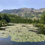 From Tirana: Dibër County Day Trip with Breakfast and Lunch - Practical Details & Tips