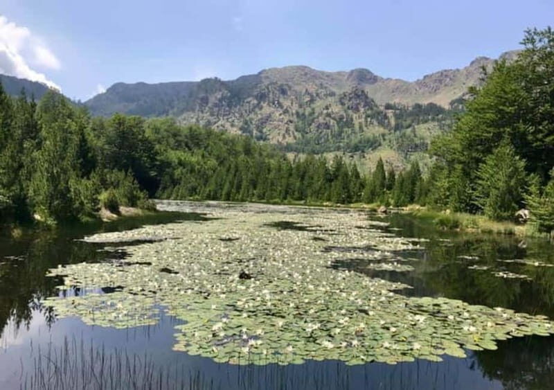 From Tirana: Dibër County Day Trip with Breakfast and Lunch - Practical Details & Tips