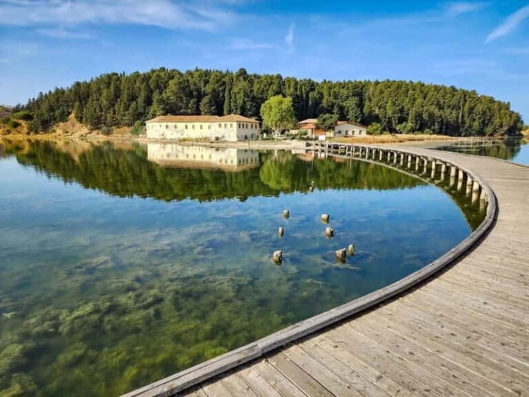 From Tirana/Durres/Golem: Vlora City and Zvernec Island Tour - A Deep Dive into the Vlora & Zvernec Island Experience