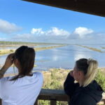 From Tirana/Durres : Karavasta Lagoon 4x4 Offroad Tour. - What’s Included and What to Consider