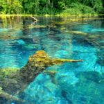 From Tirana/Durrës: Saranda, Ksamil, and Blue Eye Tour - Practical Details and What You Should Know