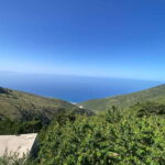 From Tirana: Vlora and Llogara National Park Private Tour - Scenic Drive to Llogara National Park