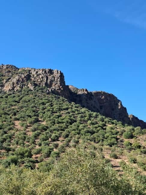 From Torre de Moncorvo: an Immersive Tour through Douro - The Practicalities: What to Expect and What’s Included