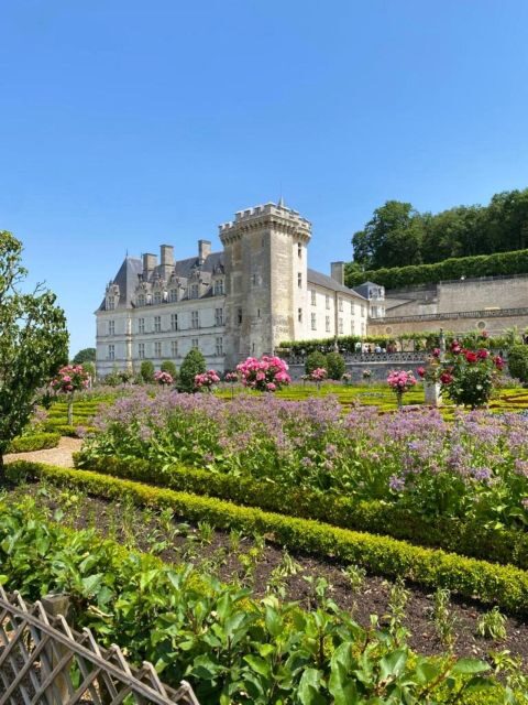 From Tours: Afternoon Loire Valley Wine Tour to Vouvray - How the Tour Scores on Value and Authenticity