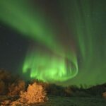 From Tromsø: Aurora Minibus Chase with Portrait and Hot Meal - What Its Like in Real Life: Guides, Food, and Flexibility