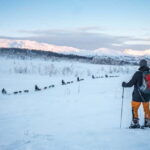 From Tromsø: Guided Husky Snowshoe Hike and Husky Camp Visit - Who Should Book This Tour?