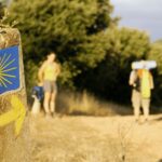 From Tui: 9-Day Guided Camino Walking Tour to Santiago - Who Would Love This Tour?