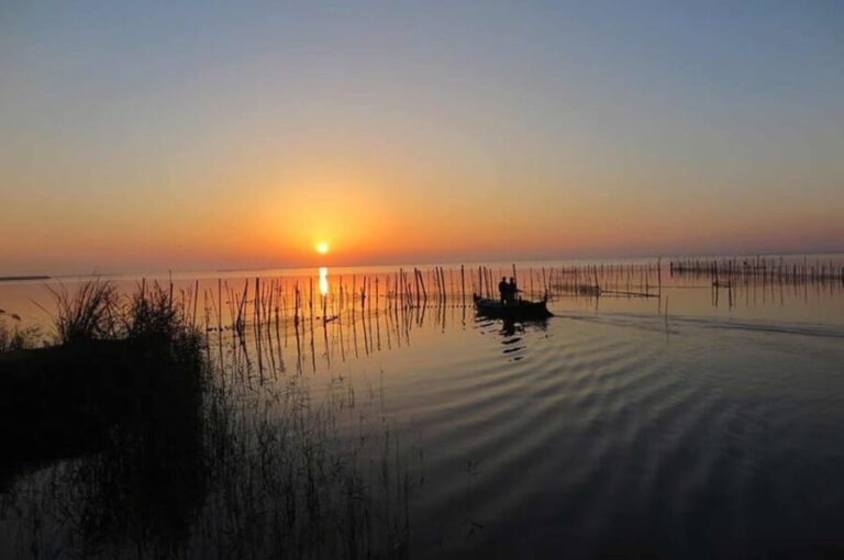 From Valencia: Albufera Boat Ride & Food (Paella) Included - Why This Tour Works