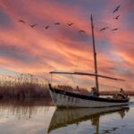 From Valencia: Albufera Natural Park Eco Boat Tour & Sunset - The Sum Up