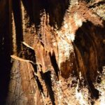 From Valencia: Private Half Day-Trip to Cuevas de San José - Who Would Love This Tour?