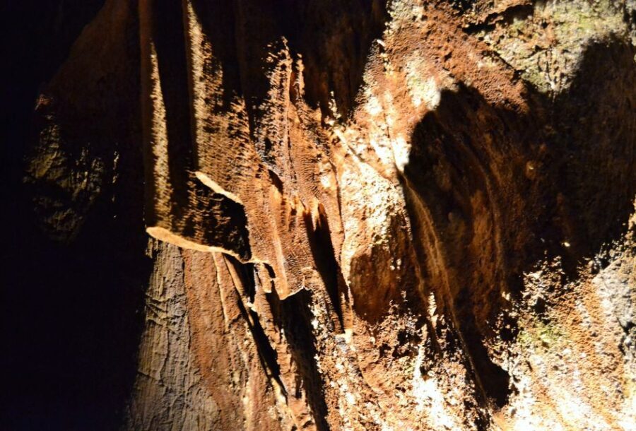 From Valencia: Private Half Day-Trip to Cuevas de San José - Who Would Love This Tour?