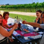 From Venice: Wine Tour in the Euganean Hills - The Vineyards and Wineries