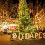 From Vienna: Budapest Christmas Market Day Trip - Who Will Love This Tour?