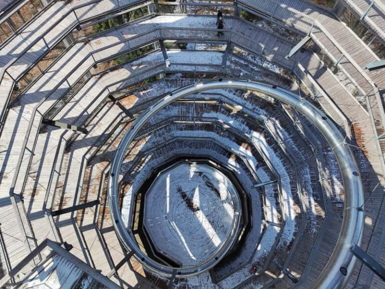 From Vienna: Hallstatt and Treetop Path Private Day Trip - Exploring Austria’s Lake and Mountain District