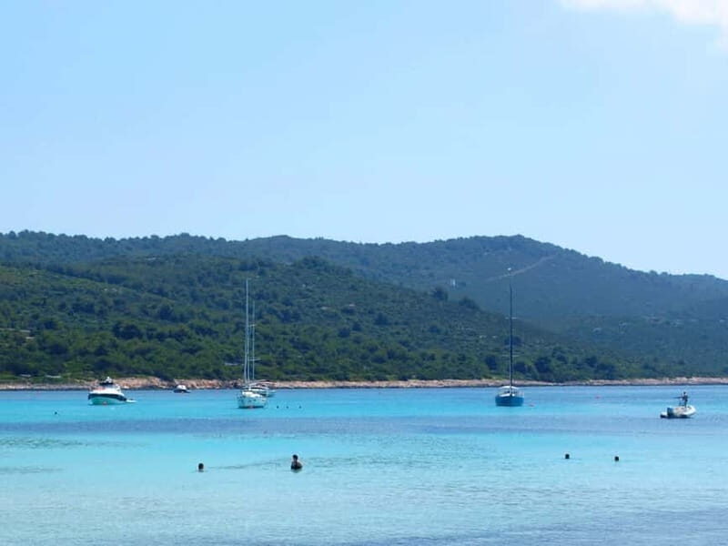 From Vir: Full-Day Guided Trip to Sakarun Beach - What the Reviews Reveal