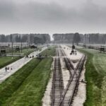 From Warsaw: Auschwitz-Birkenau Guided Tour with Fast Train - What We Loved About This Tour