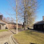From Warsaw: Auschwitz-Birkenau Tour by Car - Why This Tour is a Great Choice