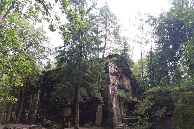 From Warsaw day tour to Wolf's Lair, Hitler's HQ by car - Authentic Experiences and Review Insights