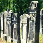 From Warsaw: Small-Group Tour to Lodz with Lunch - Price and Value