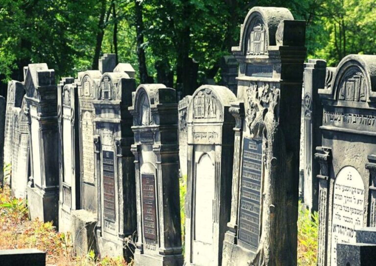 From Warsaw: Small-Group Tour to Lodz with Lunch - Price and Value