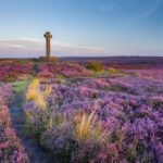 From York: Day Trip to Whitby and The North York Moors - How This Tour Provides Value