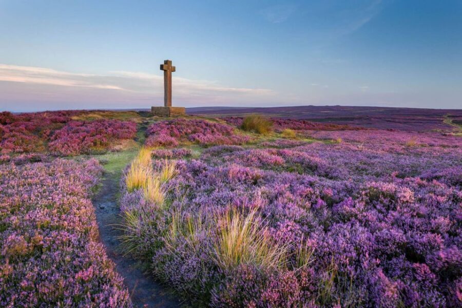 From York: Day Trip to Whitby and The North York Moors - How This Tour Provides Value