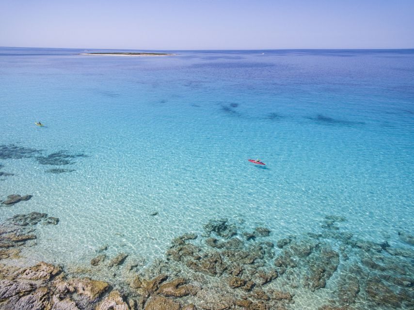 From Zadar: Dugi Otok Half-Day Kayak Adventure - What’s Included and What to Bring