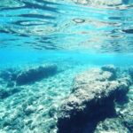 From Zadar: Private Half Day Sailing Tour - An In-Depth Look at the Zadar Private Sailing Tour