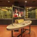 From Zurich/Lucerne: Berne Capital and Countryside Day-Trip - Transportation, Duration, and Practical Details