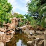 Fuengirola: Bioparc Entrance Ticket - The Experience from Visitor Perspectives