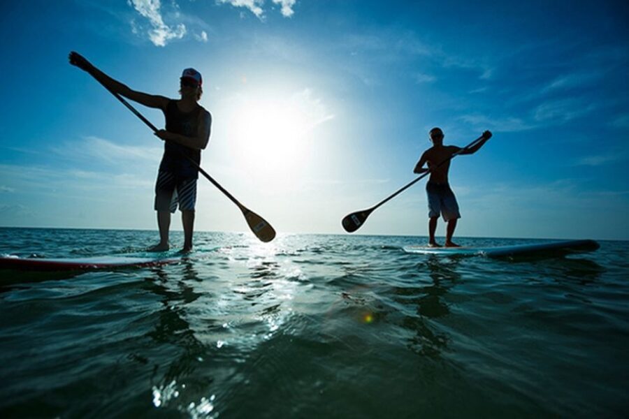 Fuerteventura: 1.5-Hour SUP Course - Caleta de Fuste - The Experience: What It Feels Like