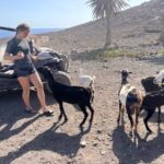 Fuerteventura : 2 hours Buggy Tour in Punta de Jandía - Who Is This Tour Best For?