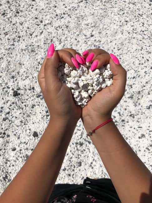 Fuerteventura: Full Day Private Island Tour - Transport and Group Size