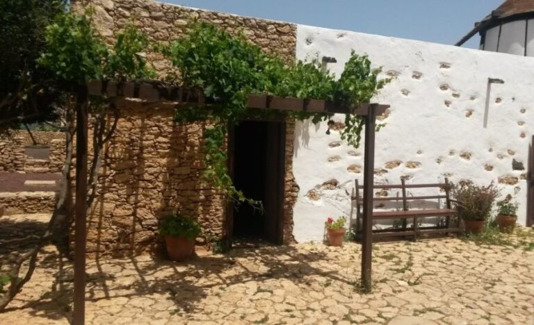 Fuerteventura: Full Day Tour with Lunch - The Real Value of This Tour