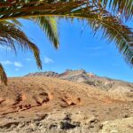 Fuerteventura Hiking on the sacred mountain El Cardon - Practicalities and Value