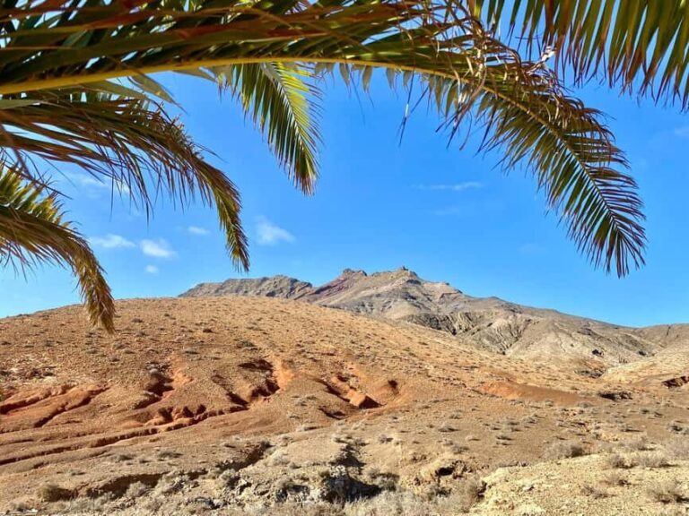Fuerteventura Hiking on the sacred mountain El Cardon - Practicalities and Value