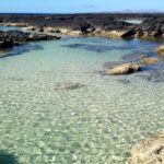 Fuerteventura North Full-Day Tour - The Value of the Tour — Is It Worth It?